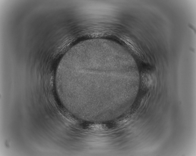 X0000097780499200803281704