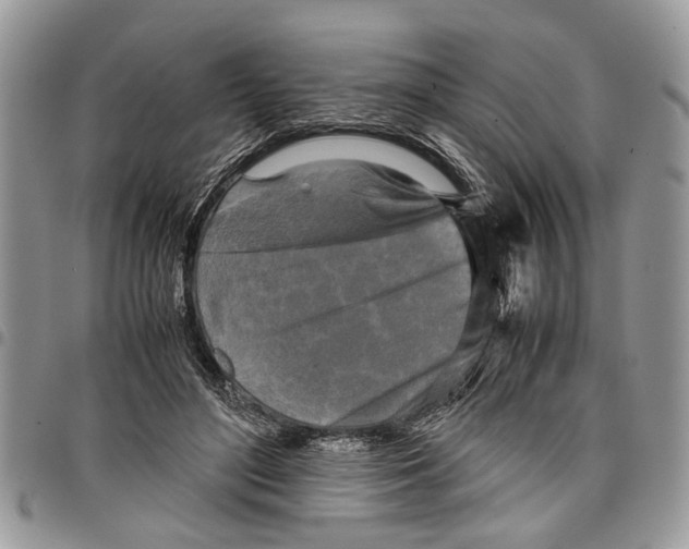 X0000097780500200803281704