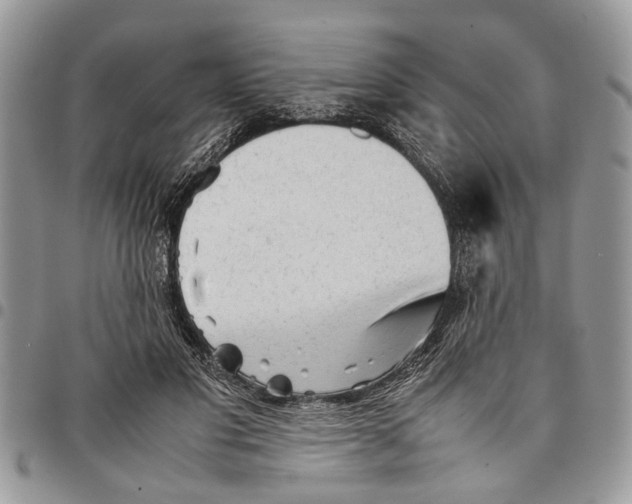 X0000097780501200803281704