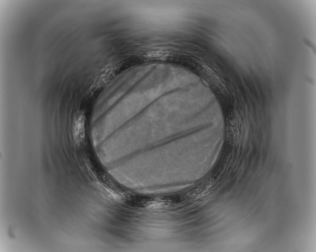 X0000097780504200803281704