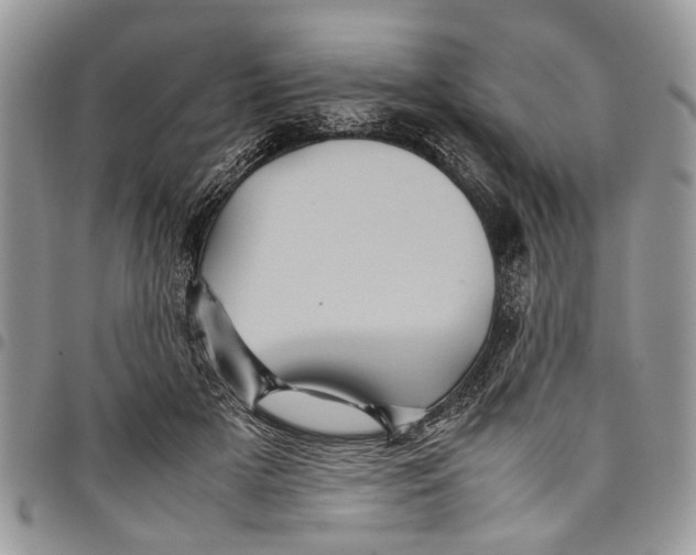 X0000097780505200803281704