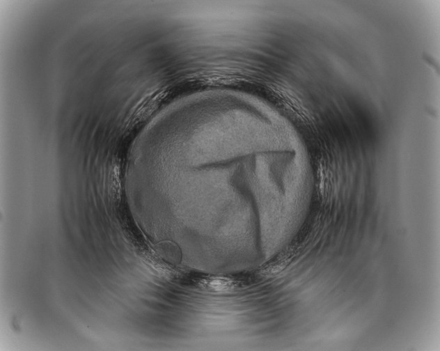 X0000097780506200803281704