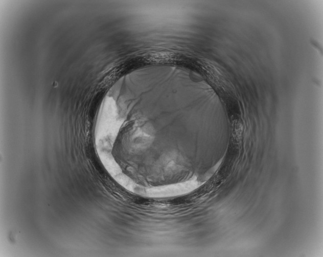 X0000097780507200803281704