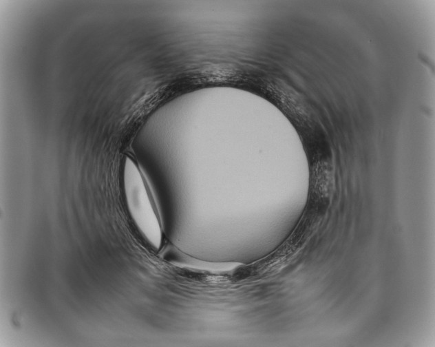 X0000097780509200803281704