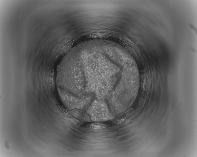 X0000097780510200803281704