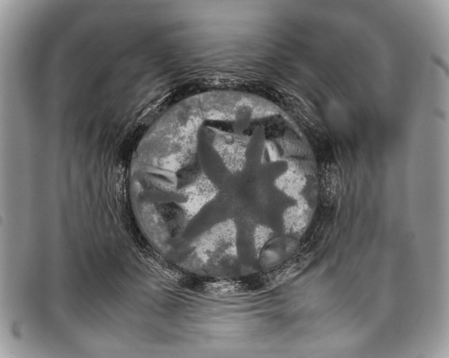 X0000097780511200803281704