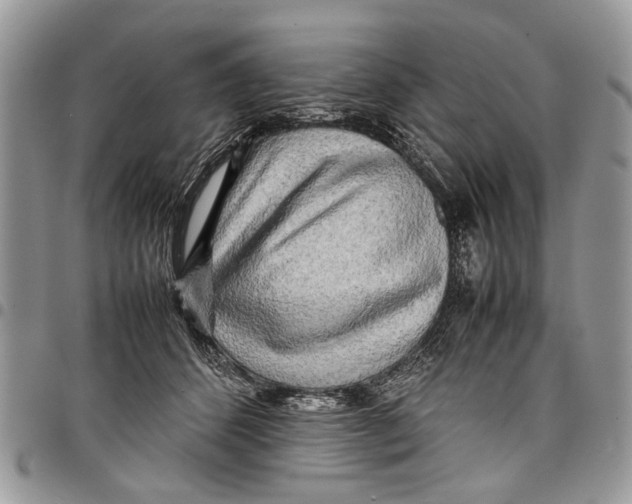 X0000097780512200803281704