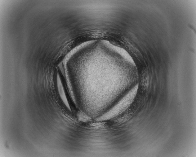 X0000097780516200803281704