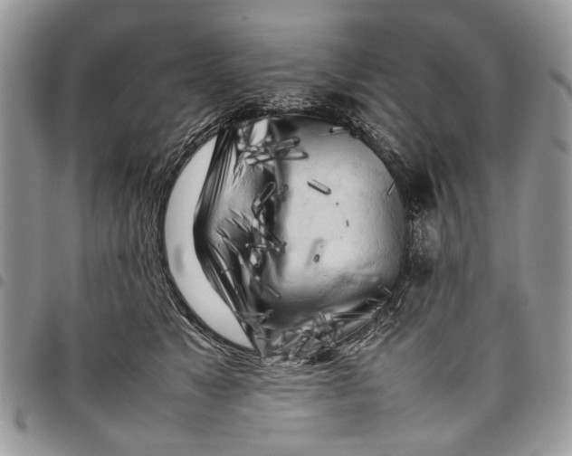 X0000097780517200803281704