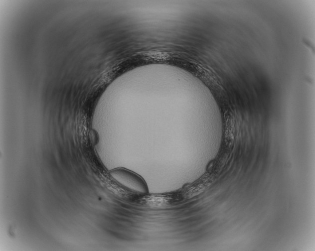 X0000097780518200803281704