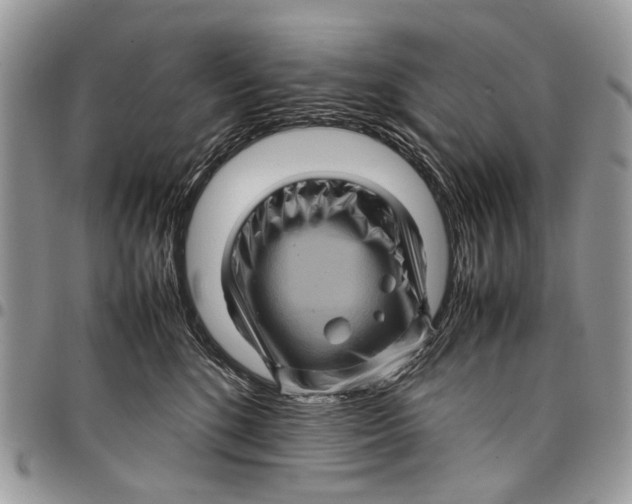 X0000097780520200803281704