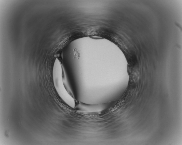 X0000097780521200803281704