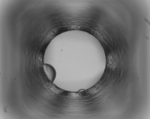 X0000097780522200803281704