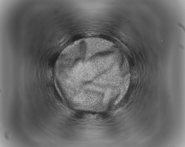 X0000097780523200803281704