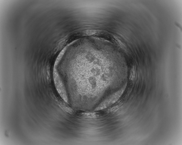 X0000097780524200803281704