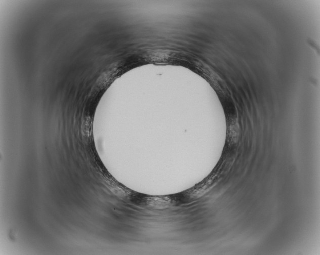 X0000097780525200803281704