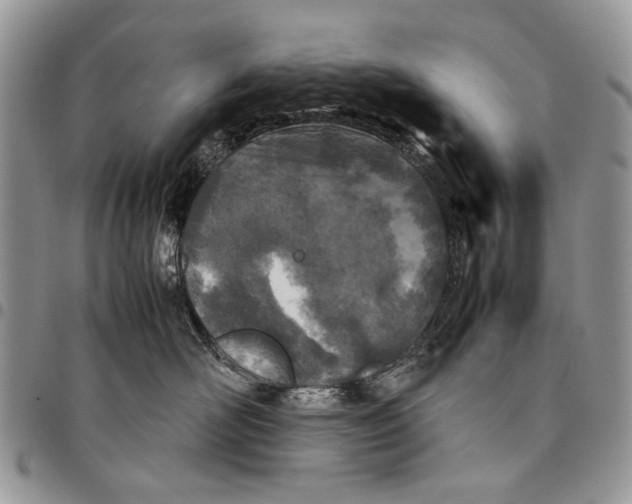 X0000097780526200803281704