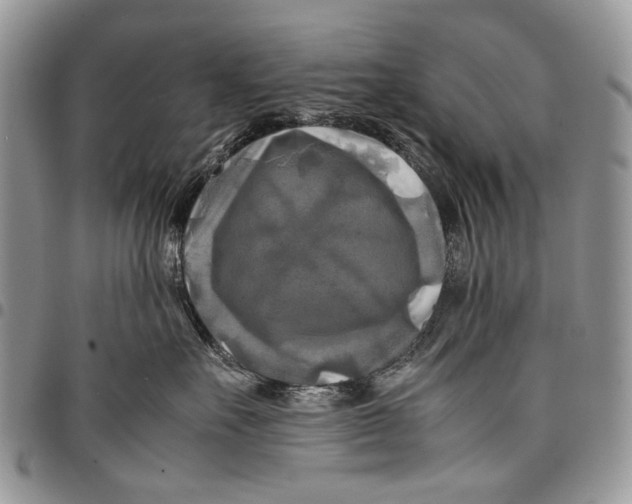 X0000097780527200803281704