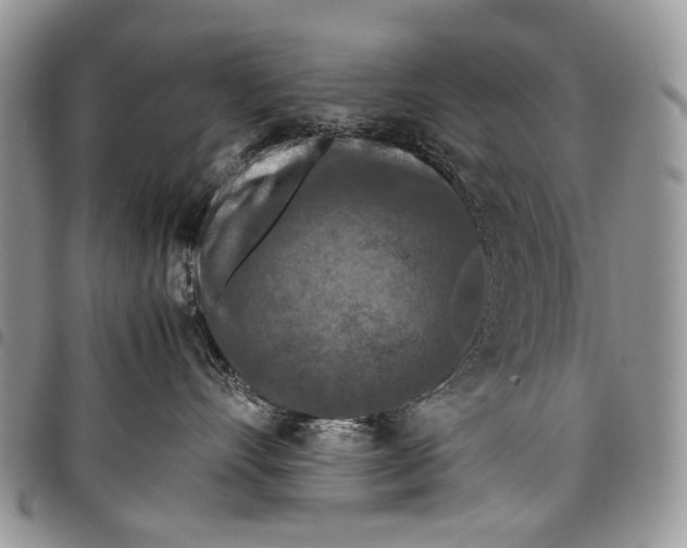 X0000097780528200803281704