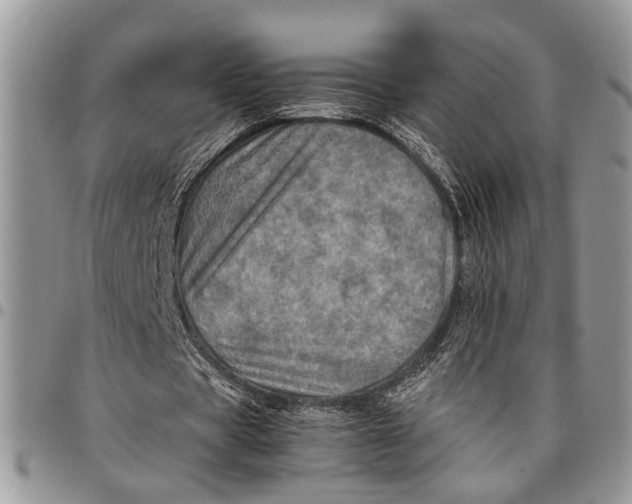 X0000097780529200803281703