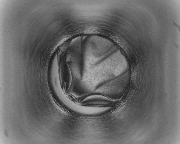 X0000097780530200803281703