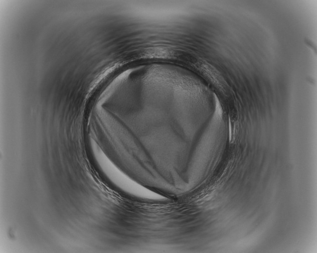 X0000097780531200803281703