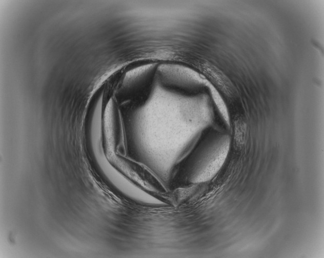 X0000097780532200803281703