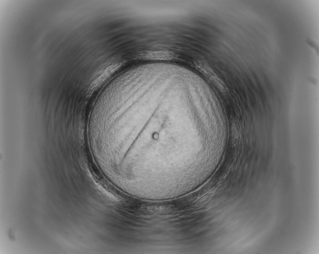 X0000097780533200803281703