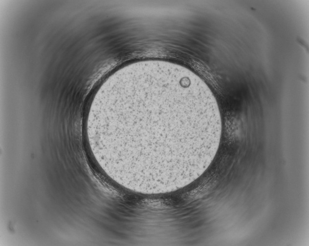 X0000097780534200803281703