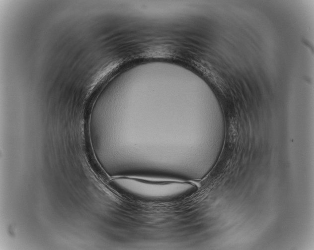 X0000097780535200803281703