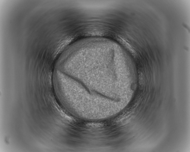 X0000097780537200803281704