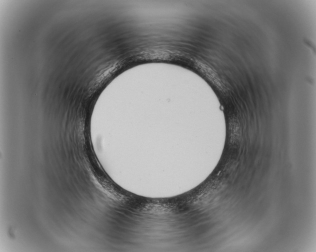 X0000097780538200803281704