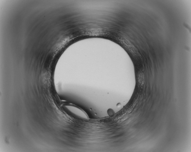 X0000097780540200803281704