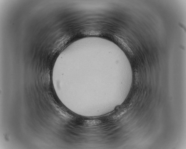 X0000097780541200803281704