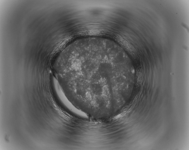 X0000097780542200803281704