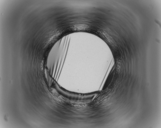 X0000097780543200803281704