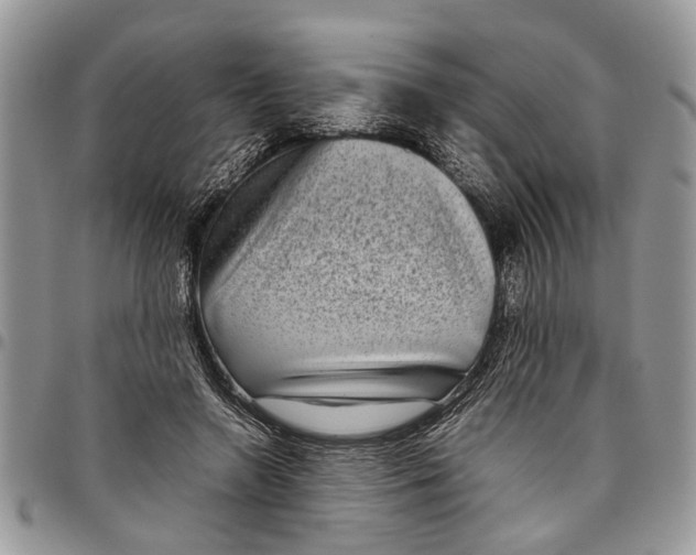 X0000097780546200803281704