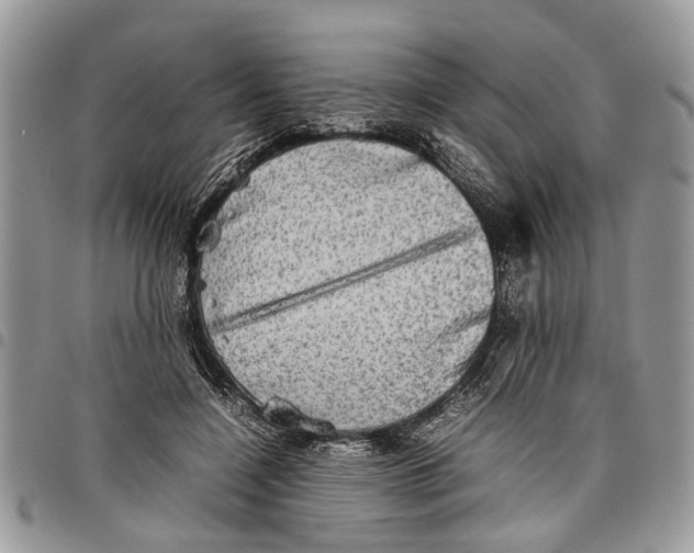 X0000097780548200803281704