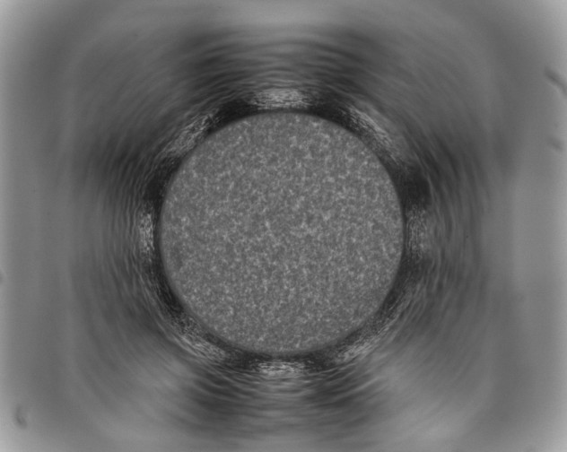 X0000097780549200803281704