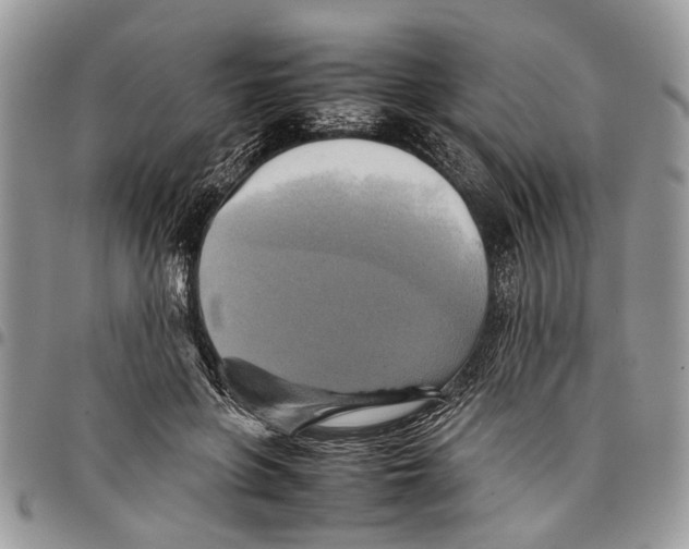 X0000097780551200803281704