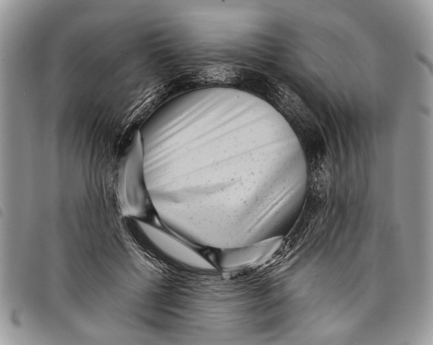 X0000097780552200803281704