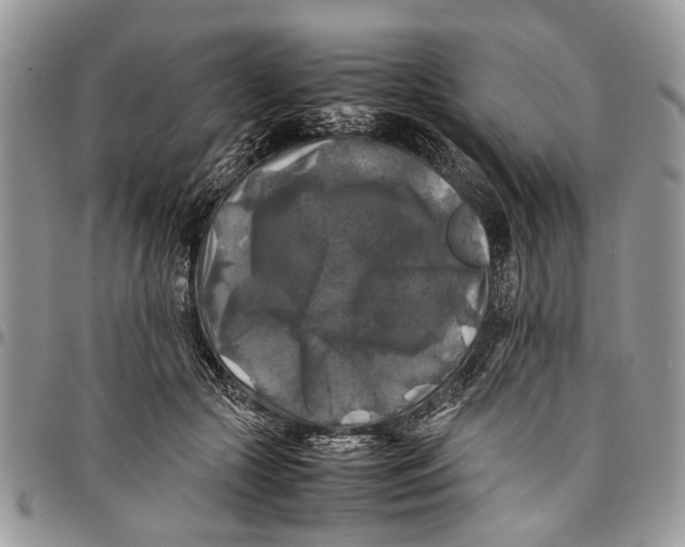 X0000097780553200803281704