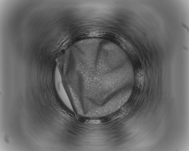 X0000097780554200803281704