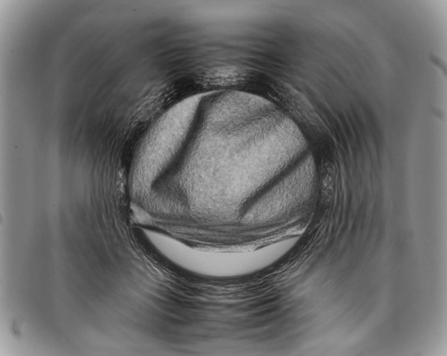 X0000097780555200803281704