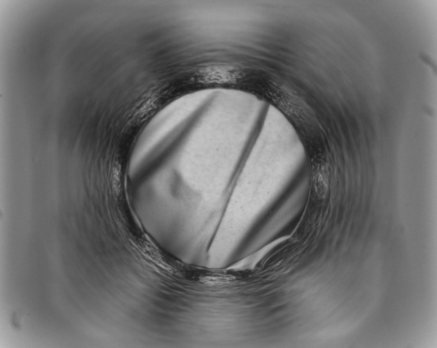 X0000097780556200803281704