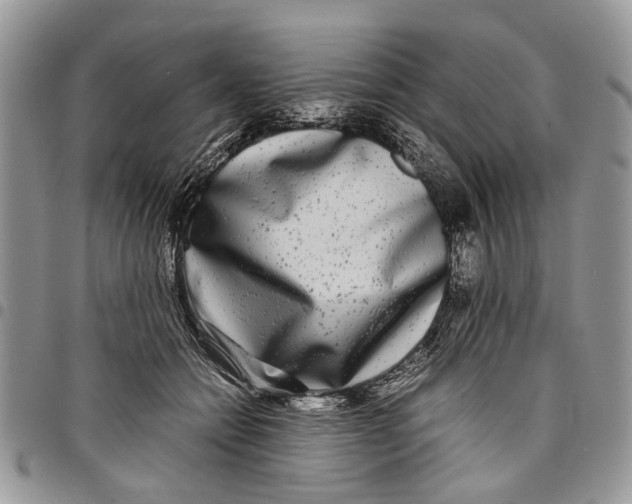 X0000097780558200803281704