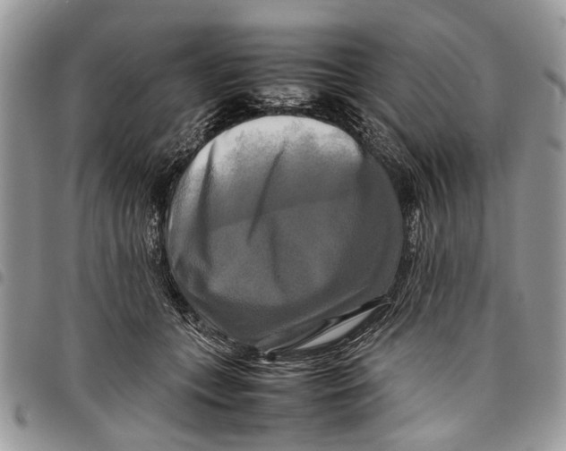 X0000097780559200803281704