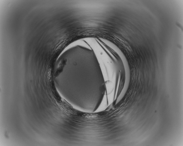 X0000097780560200803281704