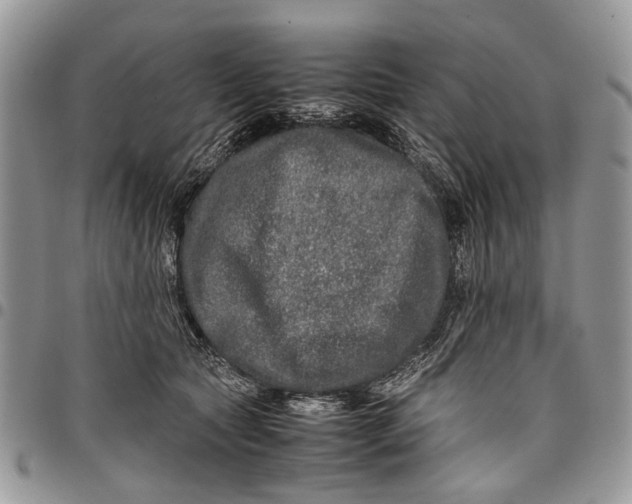 X0000097780561200803281704