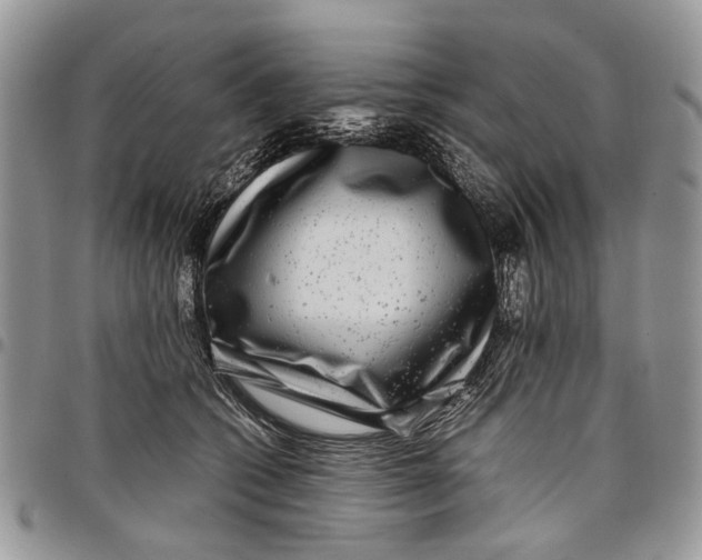 X0000097780562200803281704